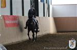 Reitertag 25.08.2013 002.JPG