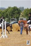 Reitertag 25.08.2013 032.JPG
