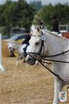 Reitertag 25.08.2013 033.JPG