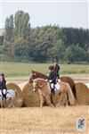 Reitertag 25.08.2013 035.JPG