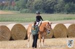 Reitertag 25.08.2013 050.JPG