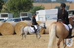 Reitertag 25.08.2013 052.JPG