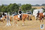 Reitertag 25.08.2013 054.JPG