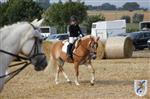 Reitertag 25.08.2013 058.JPG