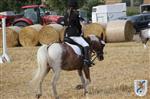 Reitertag 25.08.2013 059.JPG