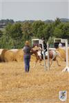 Reitertag 25.08.2013 060.JPG