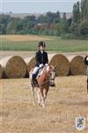 Reitertag 25.08.2013 061.JPG