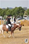 Reitertag 25.08.2013 067.JPG