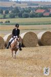 Reitertag 25.08.2013 070.JPG