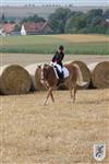Reitertag 25.08.2013 071.JPG