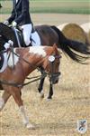 Reitertag 25.08.2013 074.JPG