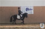 Reitertag 25.08.2013 139.JPG