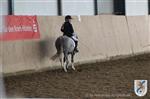 Reitertag 25.08.2013 144.JPG