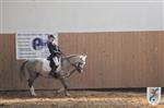 Reitertag 25.08.2013 146.JPG