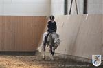 Reitertag 25.08.2013 147.JPG