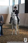 Reitertag 25.08.2013 175.JPG