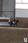 Reitertag 25.08.2013 183.JPG