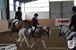 Reitertag 25.08.2013 198.JPG