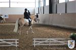 Reitertag 25.08.2013 204.JPG