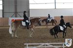 Reitertag 25.08.2013 213.JPG