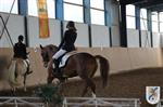Reitertag 25.08.2013 250.JPG
