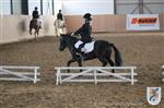 Reitertag 25.08.2013 253.JPG