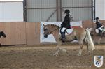 Reitertag 25.08.2013 257.JPG