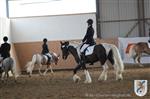 Reitertag 25.08.2013 259.JPG
