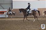 Reitertag 25.08.2013 260.JPG