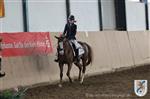Reitertag 25.08.2013 261.JPG