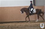 Reitertag 25.08.2013 265.JPG