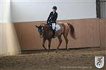 Reitertag 25.08.2013 271.JPG