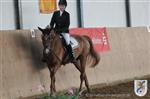 Reitertag 25.08.2013 272.JPG