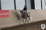 Reitertag 25.08.2013 274.JPG