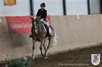 Reitertag 25.08.2013 275.JPG