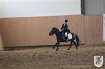 Reitertag 25.08.2013 284.JPG