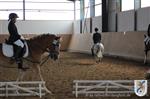 Reitertag 25.08.2013 286.JPG