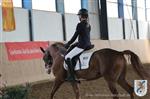 Reitertag 25.08.2013 297.JPG