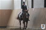 Reitertag 25.08.2013 300.JPG
