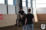 Reitertag 25.08.2013 307.JPG