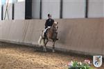 Reitertag 25.08.2013 324.JPG