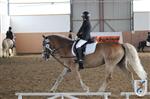 Reitertag 25.08.2013 327.JPG
