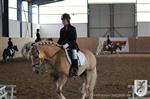Reitertag 25.08.2013 330.JPG