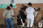 Reitertag 25.08.2013 340.JPG