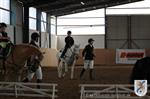 Reitertag 25.08.2013 364.JPG
