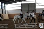 Reitertag 25.08.2013 369.JPG