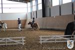 Reitertag 25.08.2013 370.JPG