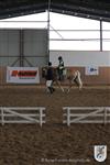 Reitertag 25.08.2013 374.JPG
