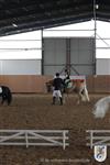 Reitertag 25.08.2013 381.JPG