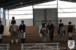 Reitertag 25.08.2013 389.JPG